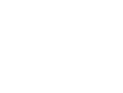 Home Icon